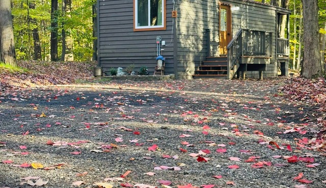Unit 3 Lodge Cabin