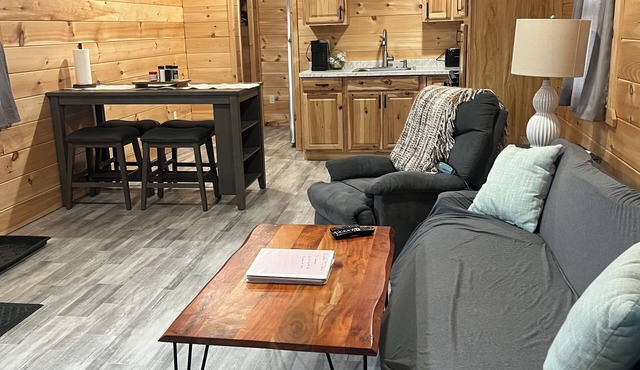 Unit #4 Cozy 1-bedroom cabin in lovely Brushton with AC and heat