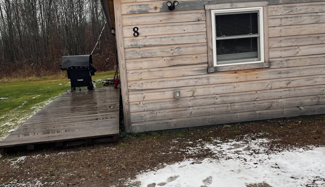 Unit#8 Wonderful 1-bedroom cabin with AC in charming Brushton NY