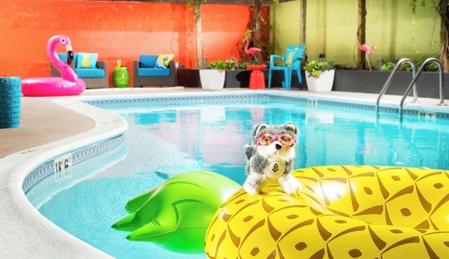 University Inn King Room, Complimentary Bikes, Near Husky Stadium