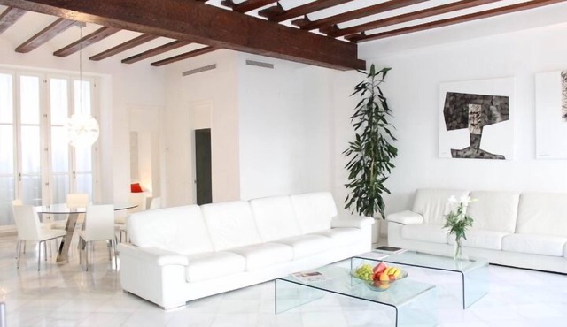 Unmatched Luxury next to the Cathedral - Valencia