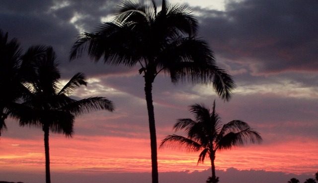 Unobstructed Ocean View - Lovely 1/1