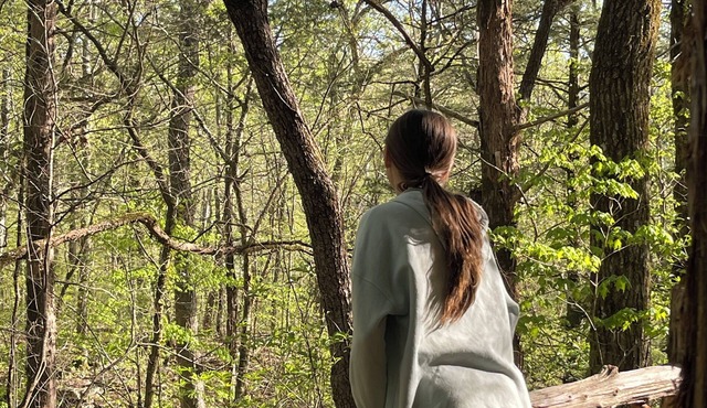 Unplug and hide from the world in this rustic South Pittsburg cabin