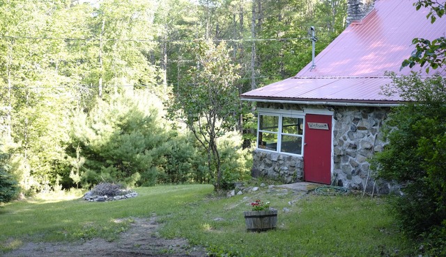 Unplug and Listen to the Loons!