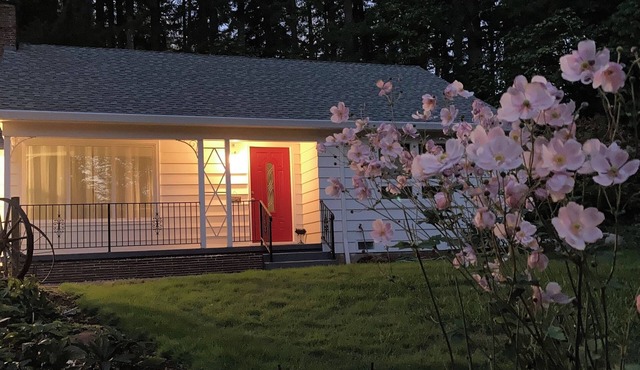 Unplug and relax in wooded, secluded setting