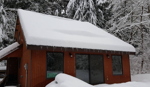 Unplug at this Mt. Baker Cabin in the Hot Tub, enjoy massage chair & rain shower