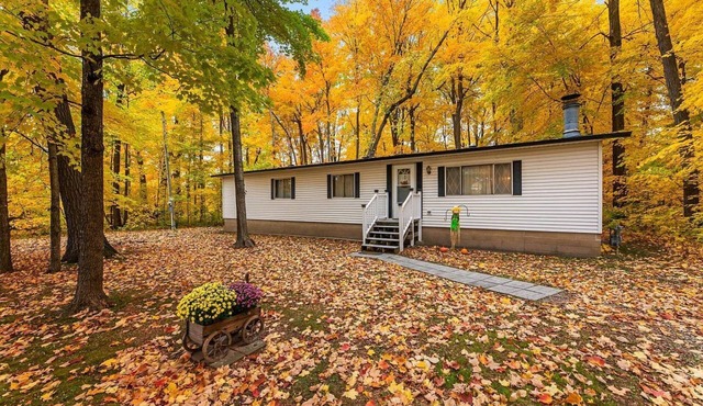 Unplug at this peaceful cottage in the woods!