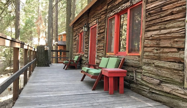 Unplugged Rustic Cabin in the Woods