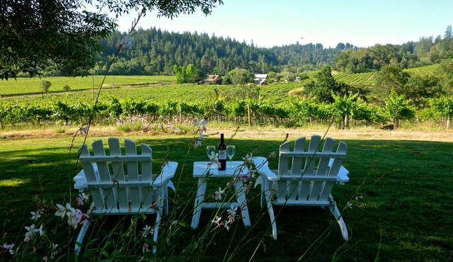 Unsurpassed Views Indoors And Out On this 3-Acre Vineyard Estate