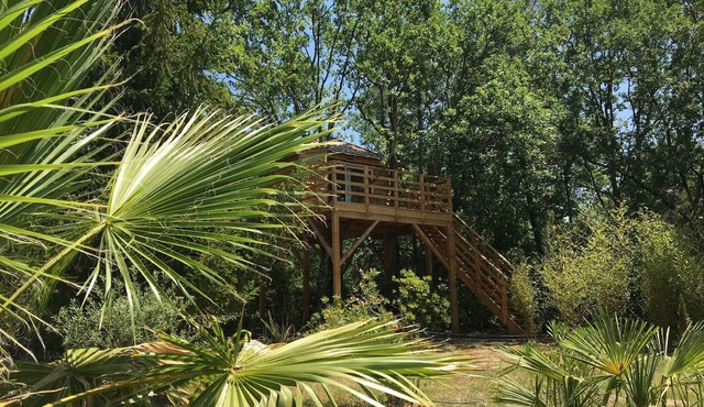 Unusual accommodation, tree house with panoramic terrace!