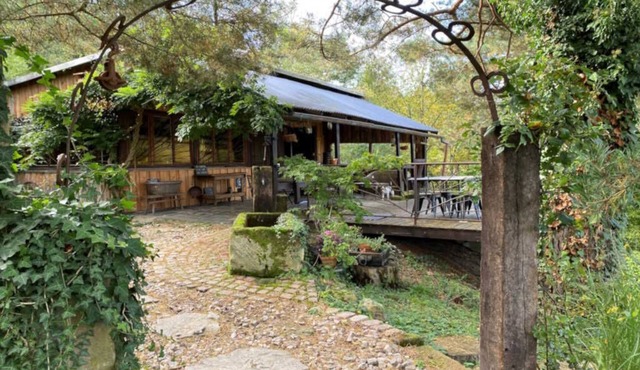 Unusual accommodation with exceptional views over the Alsace plain;