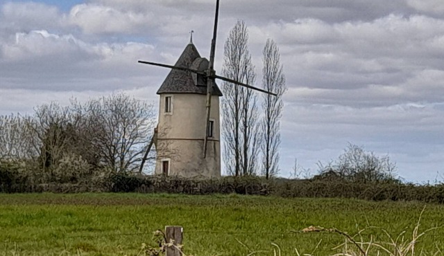 Unusual mill