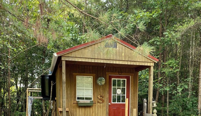 Unwind and Unplug at our Secluded Serenity Nature Paradise in Kentucky