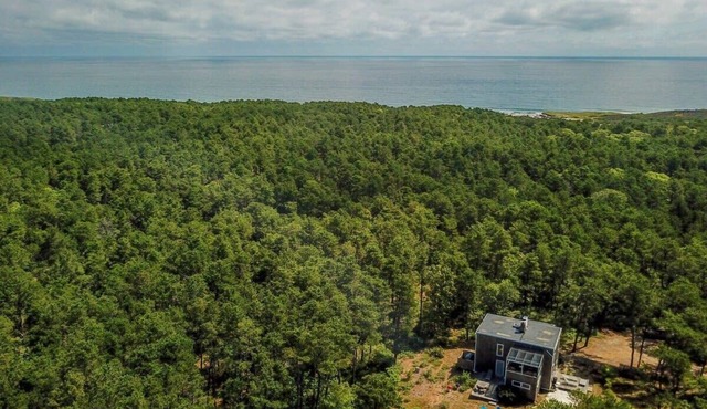 Unwind at Newcomb Hollow Beach!