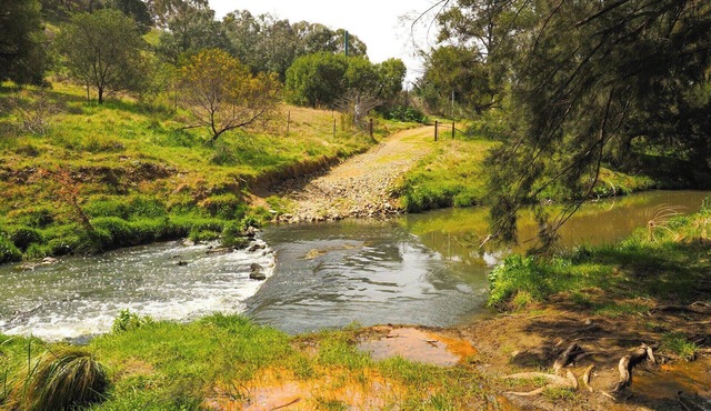 Unwind at our Sea-Tac Airport Hotel