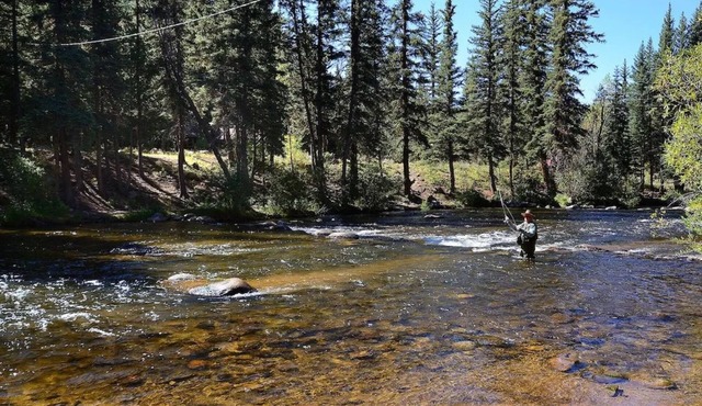 Unwind by the River: Cozy Cabins & Endless Adventures in the Rockies