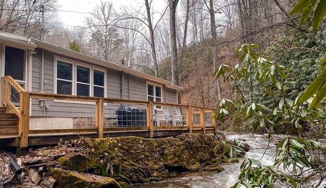 "UNWIND BY THE WATER'S EDGE" Beautiful 2/1 Cabin w/Hot Tub on Roaring Creek!