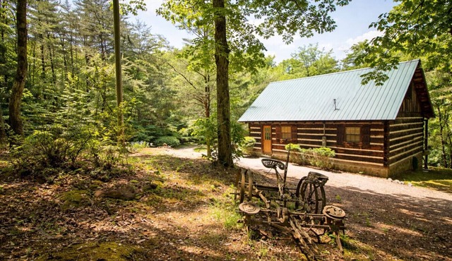 Unwind in the Wilderness, but Keep the Hot Tub!