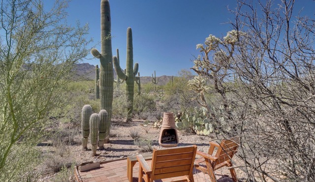 Unwind Poolside, Scenic Sonoran Desert Retreat!