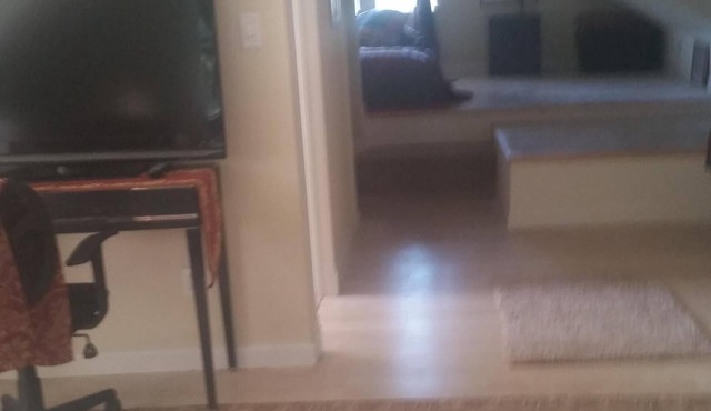 Unwind To Peaceful, Calm Creek Sounds