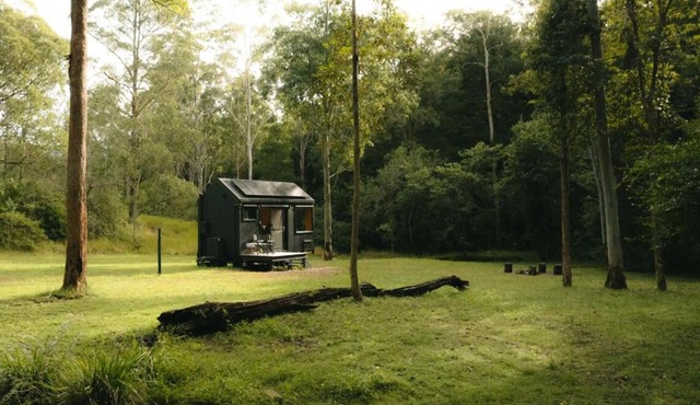 Unyoked Dungog - Hunter Region - Jazz