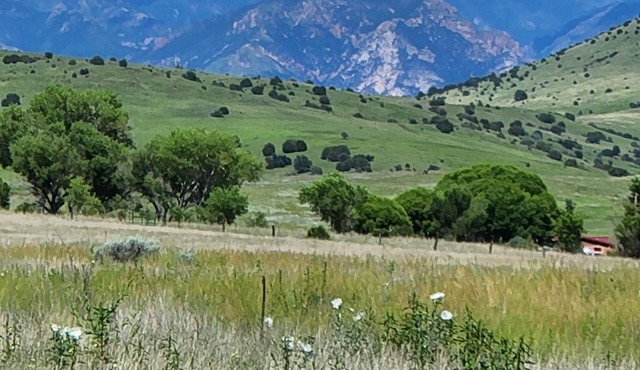 Up Country Ranch House down a quiet lane