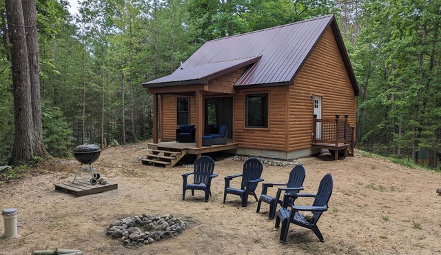 Up North Cabin Lakefront Pet Friendly Fish Hunt