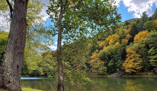 Update fiber optics installed great internet service. Few fall dates left.