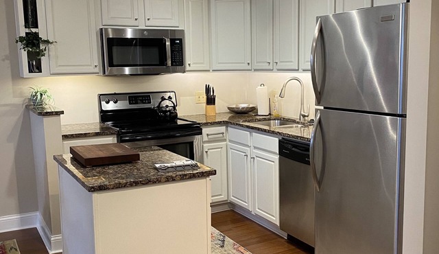 updated 1 bedroom condo in secure building