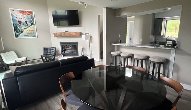 UPDATED 3 bed/2 bath Condo in Ellicottville NY across from Holiday Valley