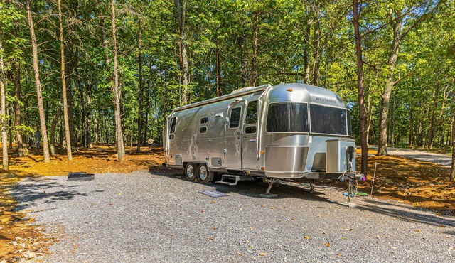 Updated Airstream tucked into trees with firepit, full bathroom & kitchenette