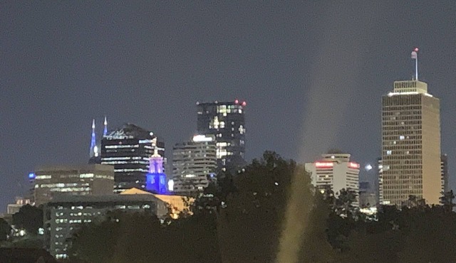 Updated: Bachelorette HQ + Roof Deck, Walk to Broadway 5bath, 3kings-12 twins