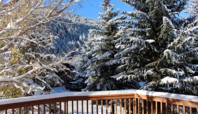 Updated Eagle-Vail 4 bedroom Duplex with Private Hot Tub and Sauna. Sleeps 10.