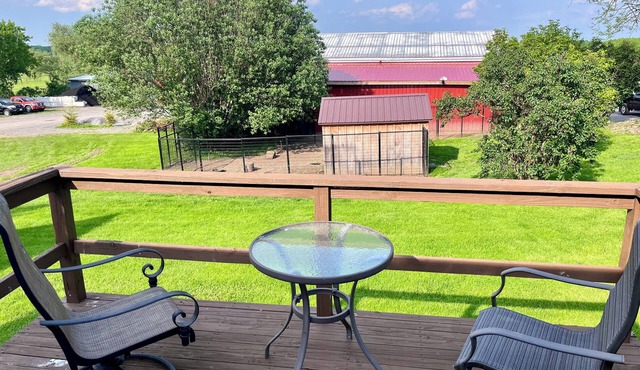 Updated farmhouse with the full animal experience.