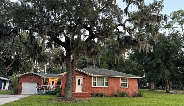 Updated Home | Stadium | Beaches | Downtown | Zoo