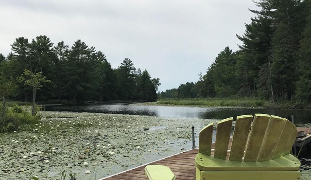 Updated Riverfront Cottage with Lake Access & StarLink, for Recreationalists!