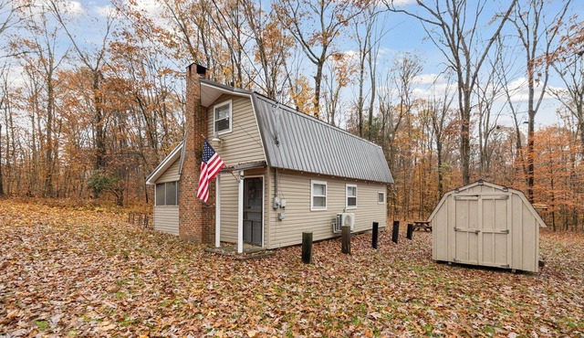 Updated secluded cabin, w/ firepit, surrounded by acres of Allegheny Nat Forest