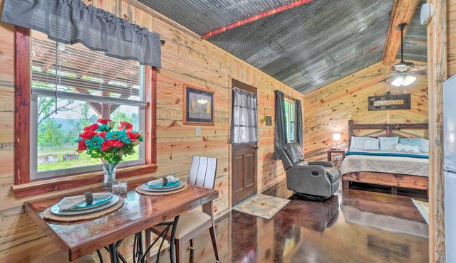 Updated Studio Cabin in Ozark w/Yard & Mtn View
