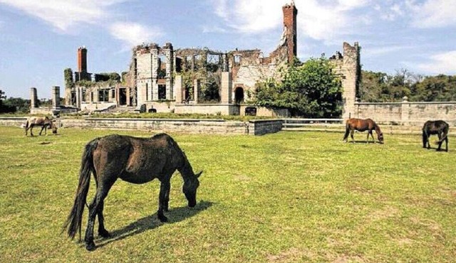 Updated to 6 beds.Near I-95,scenic train station.Cumberland.nkingbay.GA. Beaches