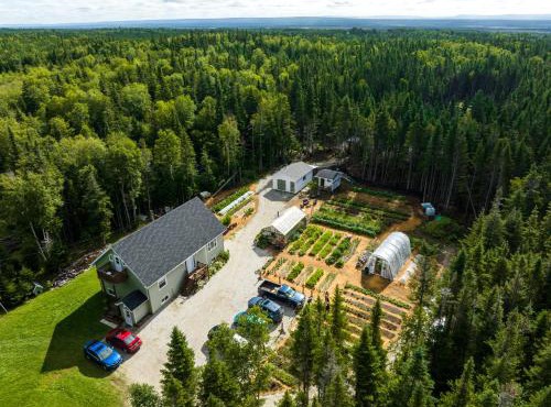 Upper Humber Settlement a FarmStay B&B