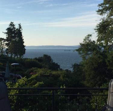 Upper Level with a view