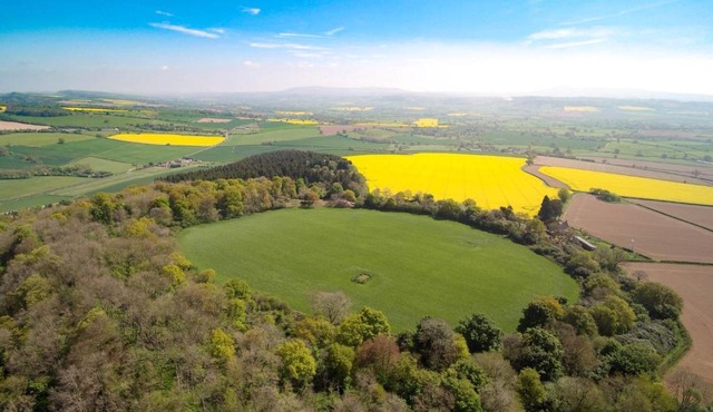 Upper Onibury Cottages
