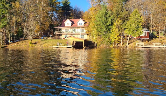 Upper Pine-insula cabin, bring your pet, come enjoy the lake, and relax!