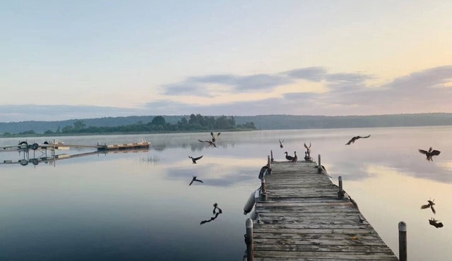 Upper Rideau Resorts Waterfront Cabin#1