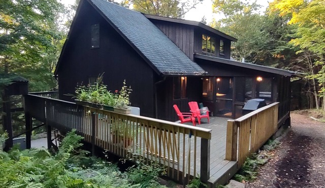 Upper Saranac Lake. Beach/dock/boat ramp. King bed, pets, paddle, hike, Olympic