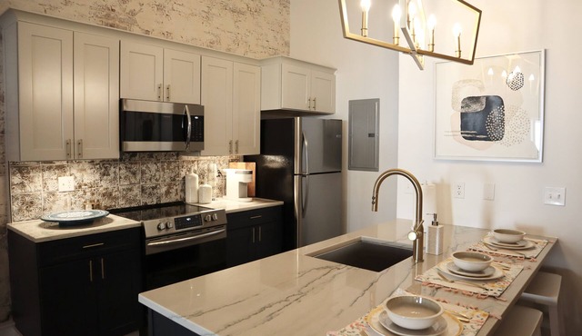 Upscale Apartment in the Heart of Downtown Columbia!