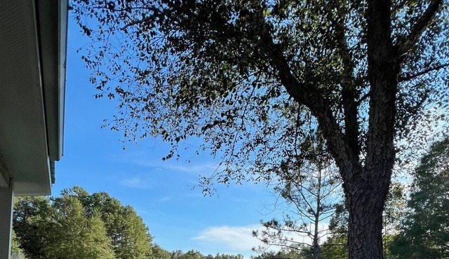Upscale cabin on 12 acres with stocked pond, great porch, and gourmet kitchen!