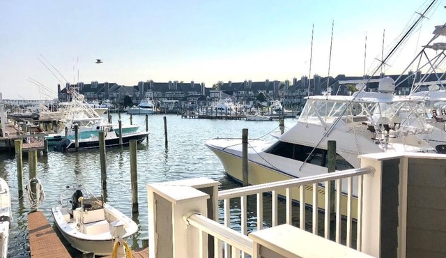 Upscale Clean Bayfront Townhouse with 4 Balconies, 14th Street