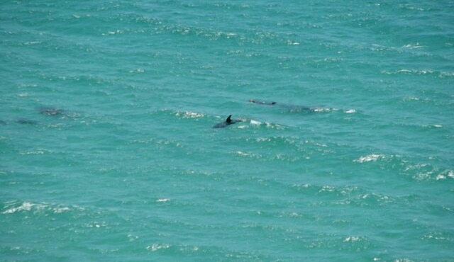 Upscale Condo on the Water with Amazing Views. Active Military Discount