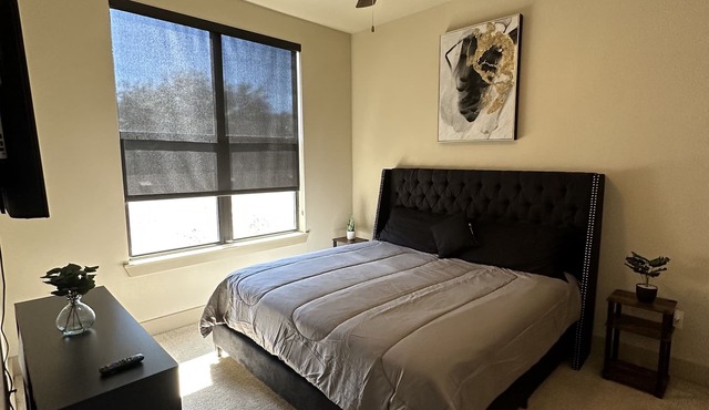 Upscale luxury apartments units near Nrg Stadium Medical center Downtown Museum.